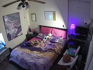 The Horny Hostel - Bedroom 2